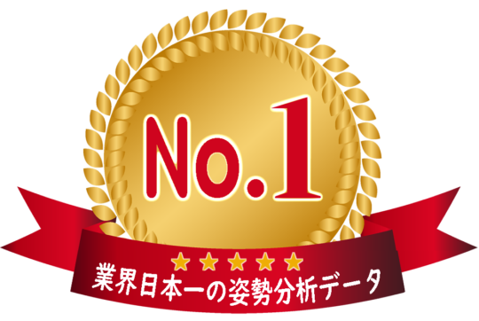 姿勢分析人数ランキング1位で人気